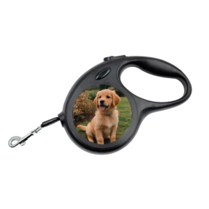 Laisse extensible pour chien