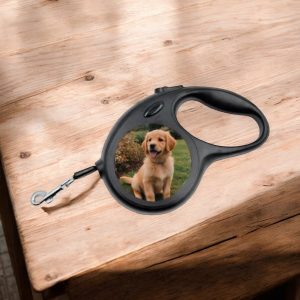 Laisse extensible pour chien